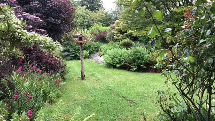 Hartree Guest House Newton Abbot Eksteriør billede